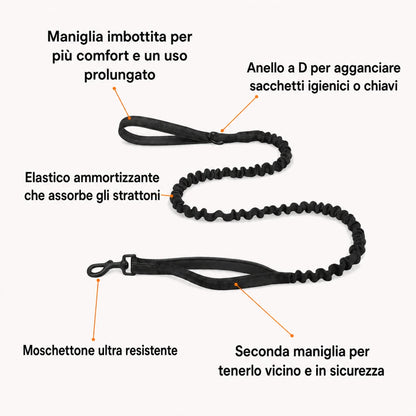 Guinzaglio bungee Katlyma con elastico ammortizzante, doppia maniglia e moschettone resistente