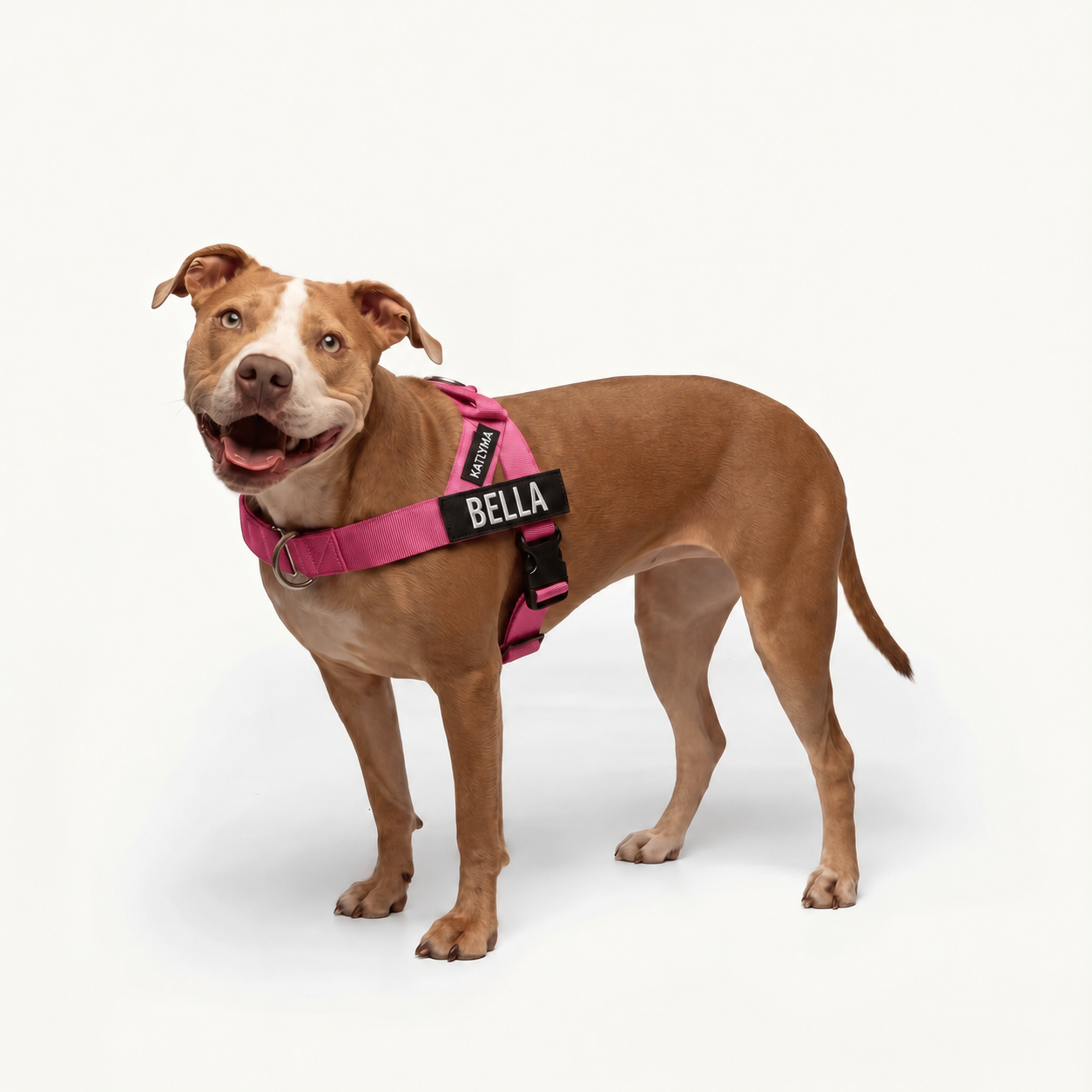 Katlyma Walk® – Pettorina antitiro