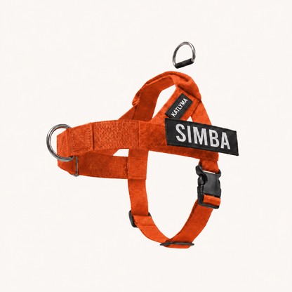 Katlyma Walk® – Pettorina antitiro