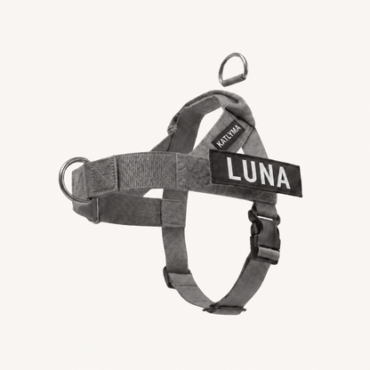 Katlyma Walk® – Pettorina antitiro