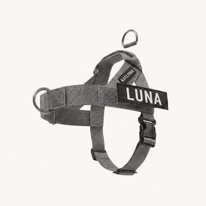 Pettorina antitiro Katlyma grigia con anello frontale e targhetta personalizzata