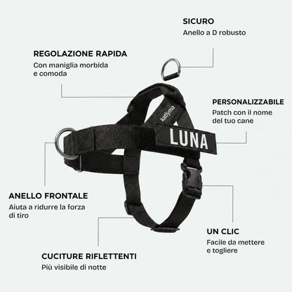 Dettagli della pettorina anti tiro Katlyma: anello a D frontale, maniglia imbottita, chiusura a clic e patch con il nome
