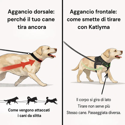 Illustrazione del confronto tra aggancio dorsale e aggancio frontale su un cane che tira al guinzaglio