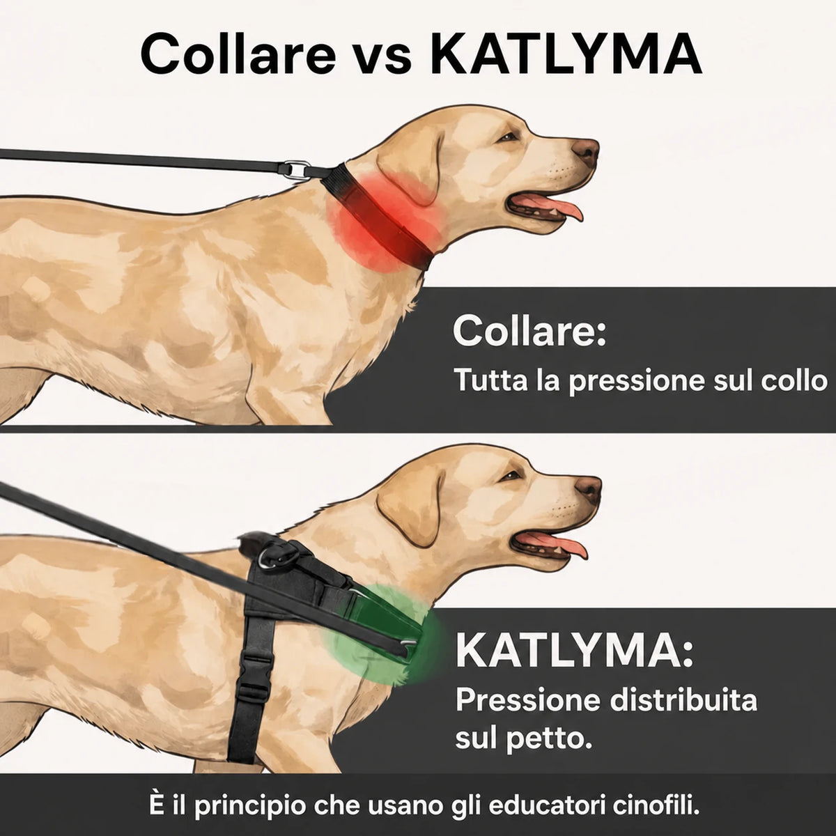 Illustrazione del confronto tra collare e pettorina antitiro Katlyma: pressione sul collo contro pressione distribuita sul petto