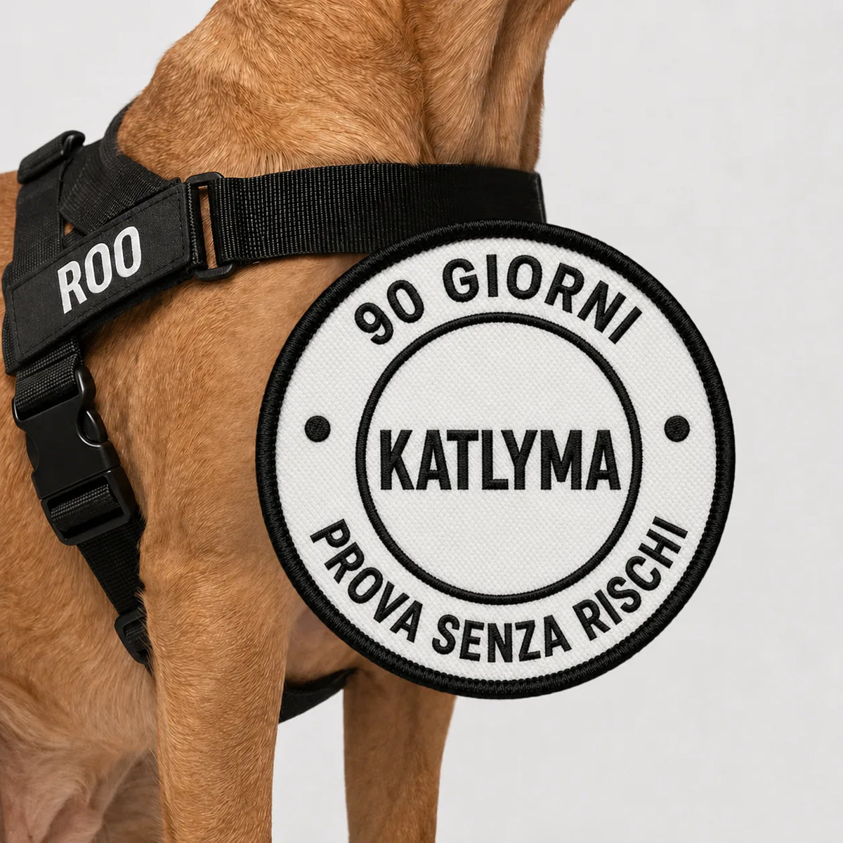 Cane che indossa la pettorina antitiro Katlyma nera, con prova senza rischi di 90 giorni