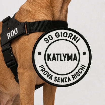 Cane che indossa la pettorina antitiro Katlyma nera, con prova senza rischi di 90 giorni