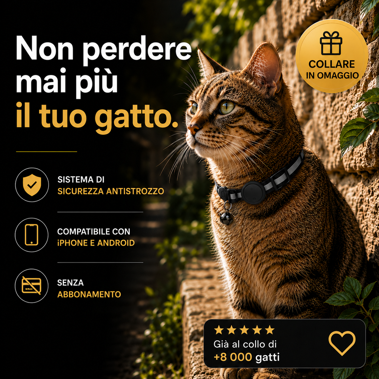 Félis – Collare Intelligente per Gatti