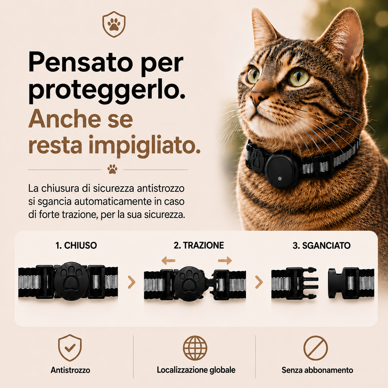 Félis – Collare Intelligente per Gatti