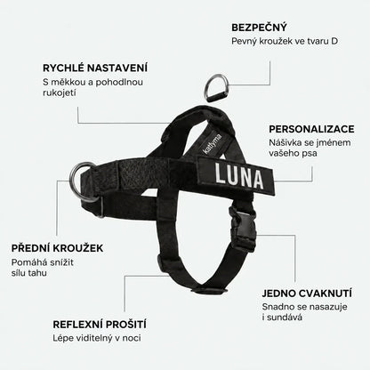 Detaily postroje proti tahání Katlyma: přední kroužek D, polstrovaná rukojeť, zapínání na cvaknutí a nášivka se jménem