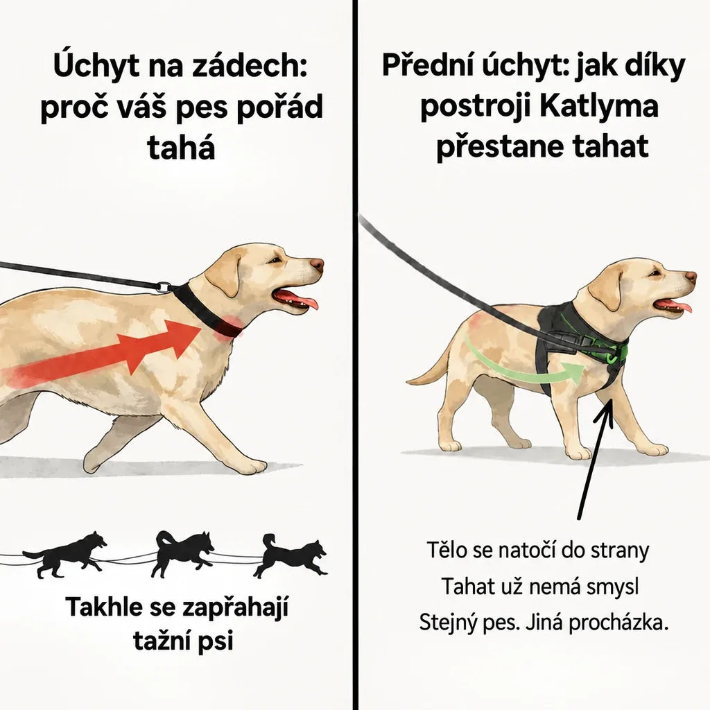 Ilustrace srovnání zadního a předního úchytu u psa, který tahá na vodítku