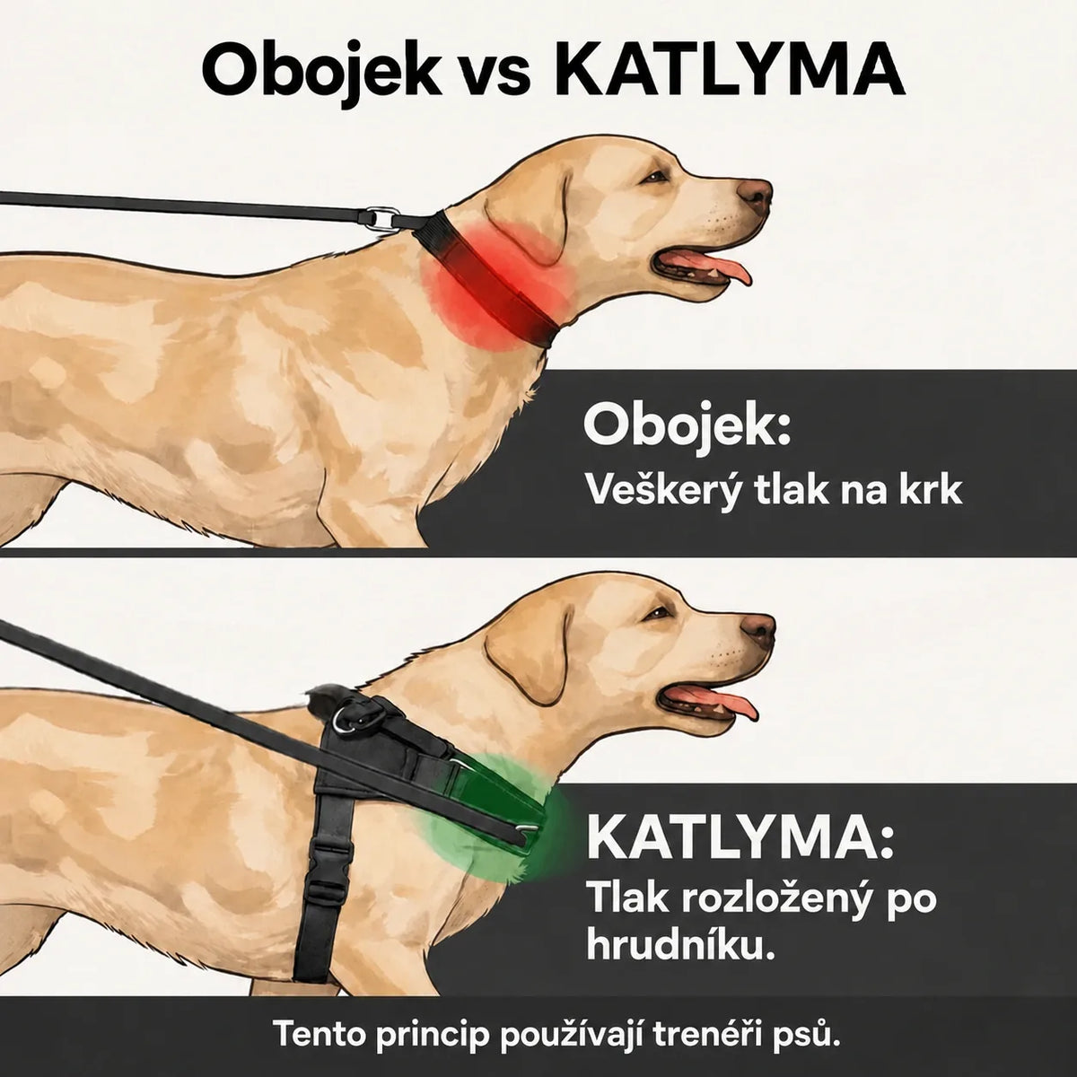 Ilustrace srovnání obojku a postroje proti tahání Katlyma: tlak na krk proti tlaku rozloženému po hrudníku