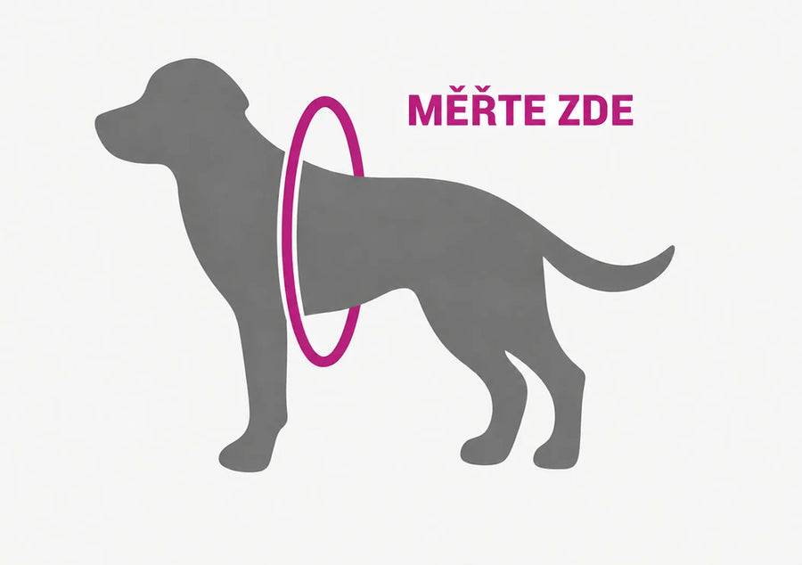 kat02-cs-guide-tailles-01_dog
