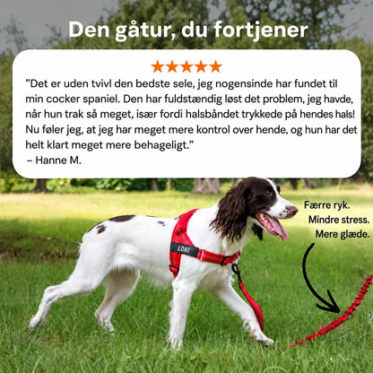 Hund i snor på gåtur med den røde anti-træk-sele fra Katlyma på