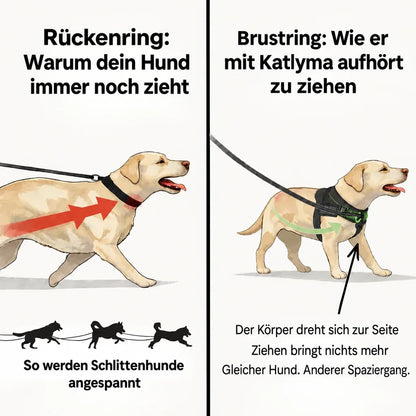 Illustration: Vergleich zwischen Rückenring und Brustring bei einem Hund, der an der Leine zieht