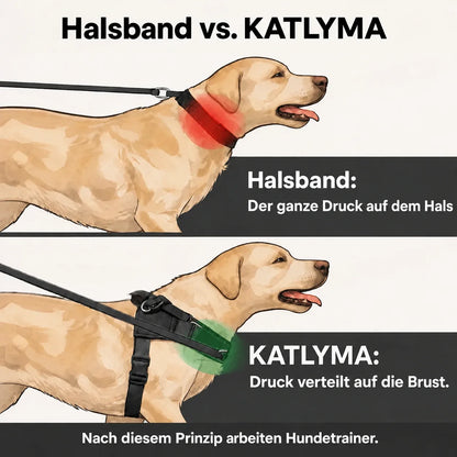 Illustration: Vergleich zwischen Halsband und Katlyma Anti-Zug-Geschirr – Druck auf den Hals gegenüber Druck, der auf die Brust verteilt wird