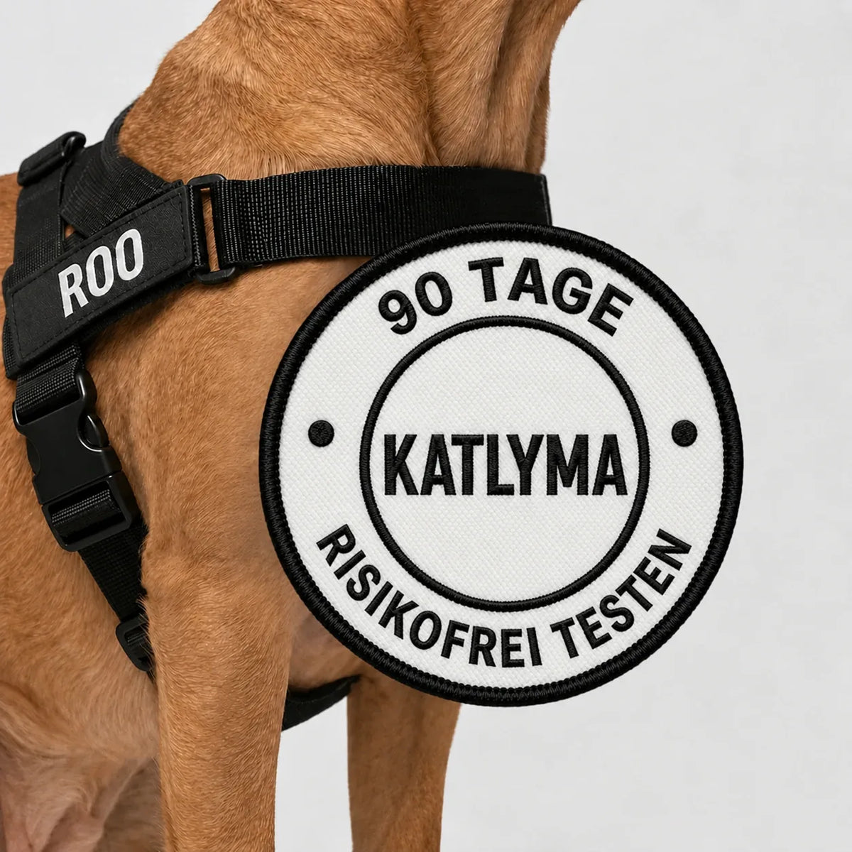 Hund mit schwarzem Katlyma Anti-Zug-Geschirr, mit risikolosem 90-Tage-Test
