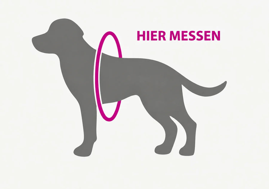 kat02-de-guide-tailles-01_dog