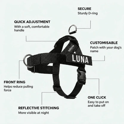 Katlyma no-pull harness details: front D-ring, padded handle, click buckle and name patch