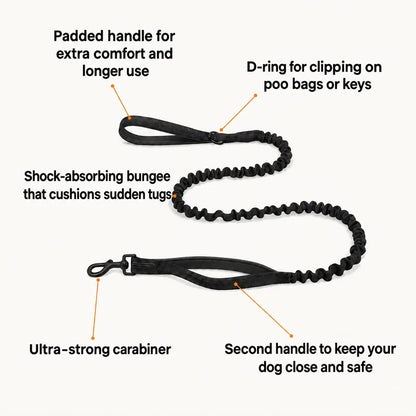 Katlyma bungee lead with shock-absorbing elastic, two handles and a strong carabiner