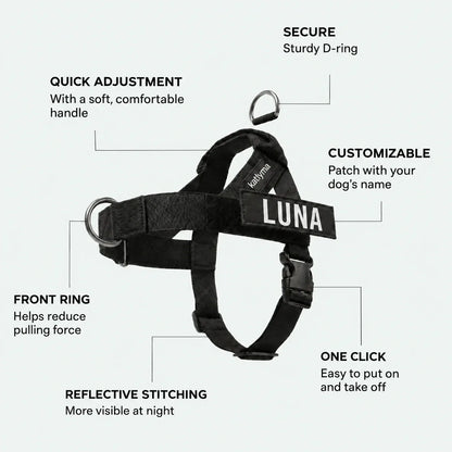 Katlyma no-pull harness details: front D-ring, padded handle, click buckle and name patch