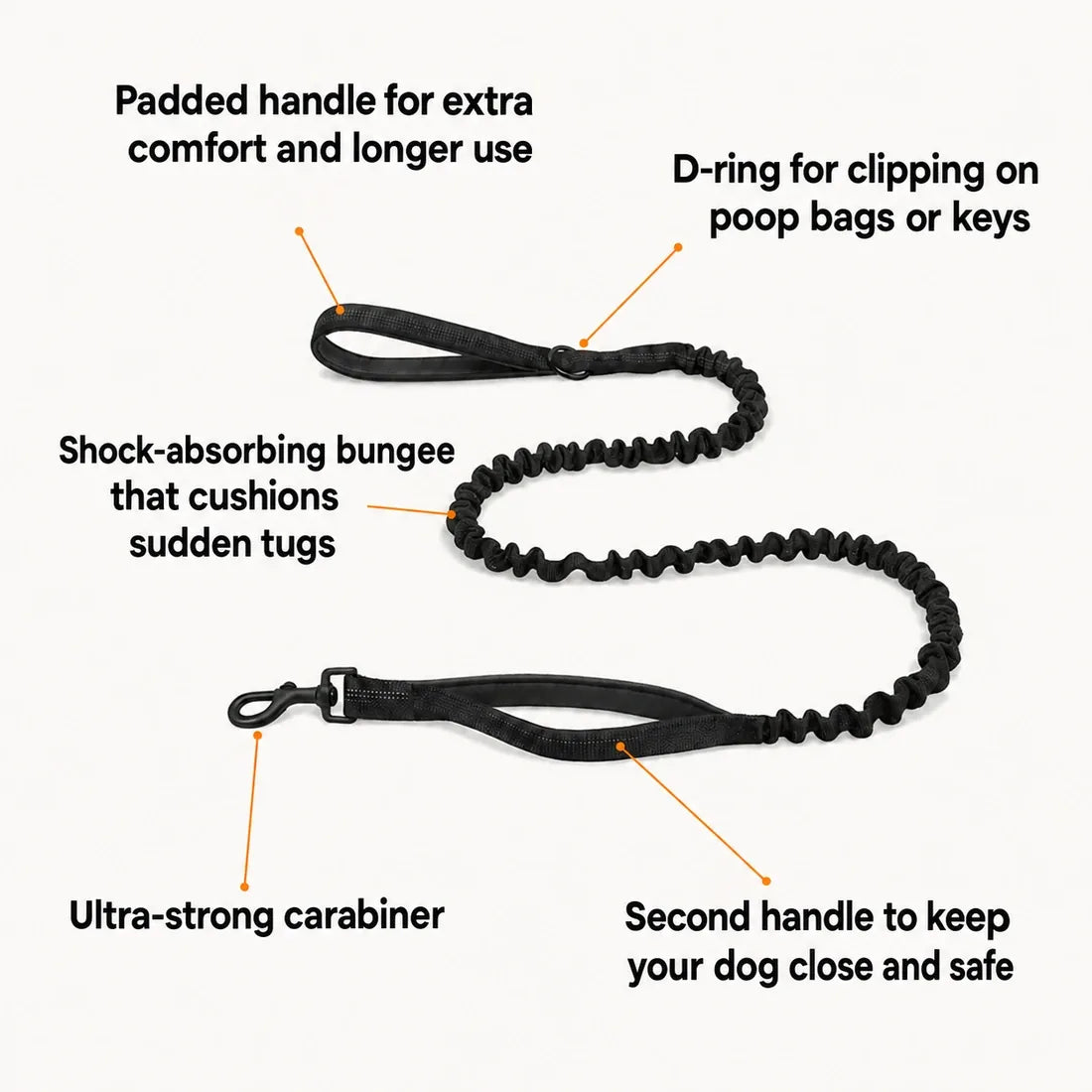 Katlyma bungee leash with shock-absorbing elastic, two handles and a strong carabiner