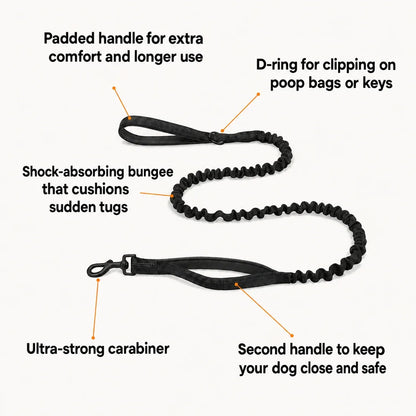Katlyma bungee leash with shock-absorbing elastic, two handles and a strong carabiner