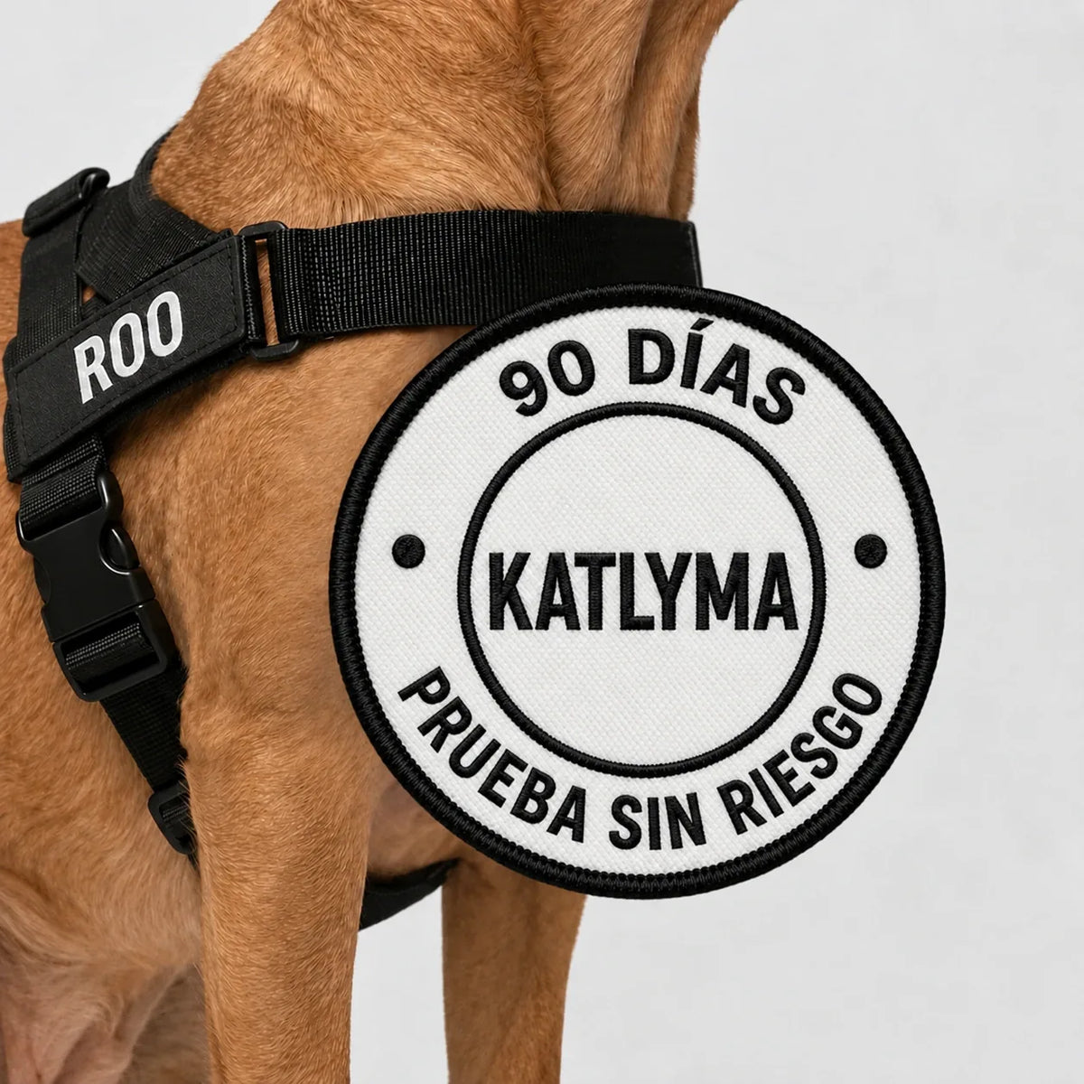 Perro con el arnés antitirones Katlyma negro, con prueba sin riesgo de 90 días