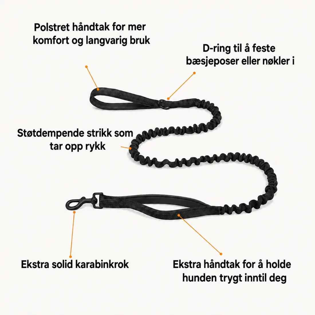 Bungee-bånd fra Katlyma med støtdempende strikk, to håndtak og solid karabinkrok