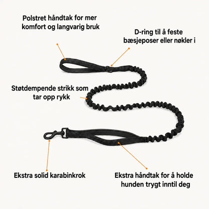 Bungee-bånd fra Katlyma med støtdempende strikk, to håndtak og solid karabinkrok