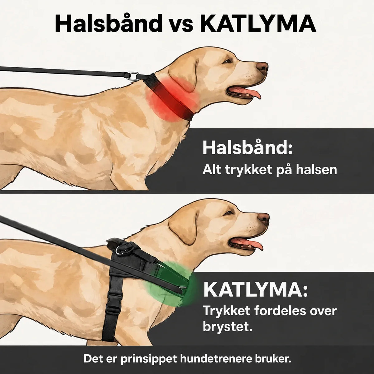 Illustrasjon som sammenligner halsbånd og antitrekksele fra Katlyma: press på halsen mot trykk fordelt over brystet