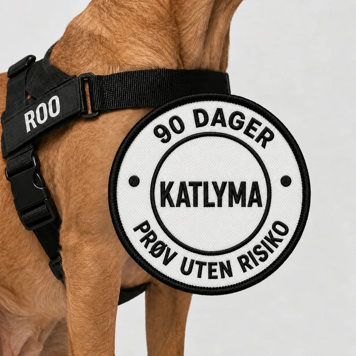 Hund med svart antitrekksele fra Katlyma, med 90 dagers risikofri prøvetid