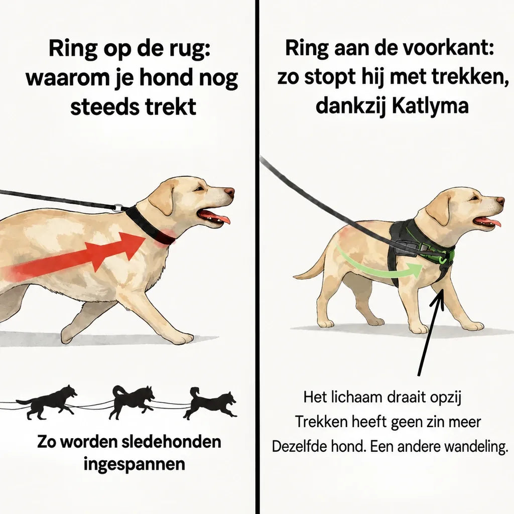 Illustratie van het verschil tussen bevestiging op de rug en bevestiging aan de voorkant bij een hond die aan de lijn trekt