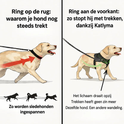 Illustratie van het verschil tussen bevestiging op de rug en bevestiging aan de voorkant bij een hond die aan de lijn trekt