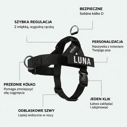 Szczegóły szelek bez ciągnięcia Katlyma: przednie kółko D, wyściełana rączka, klamra na klik i naszywka z imieniem