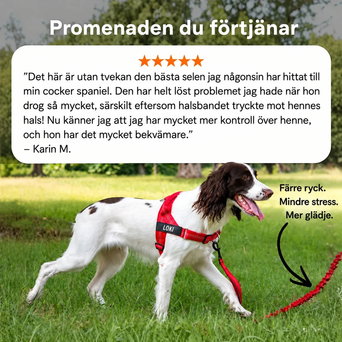 Hund som promenerar i koppel med Katlymas röda antidragsele