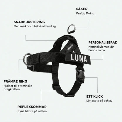 Detaljer på Katlymas antidragsele: främre D-ring, vadderat handtag, klickspänne och märke med namnet