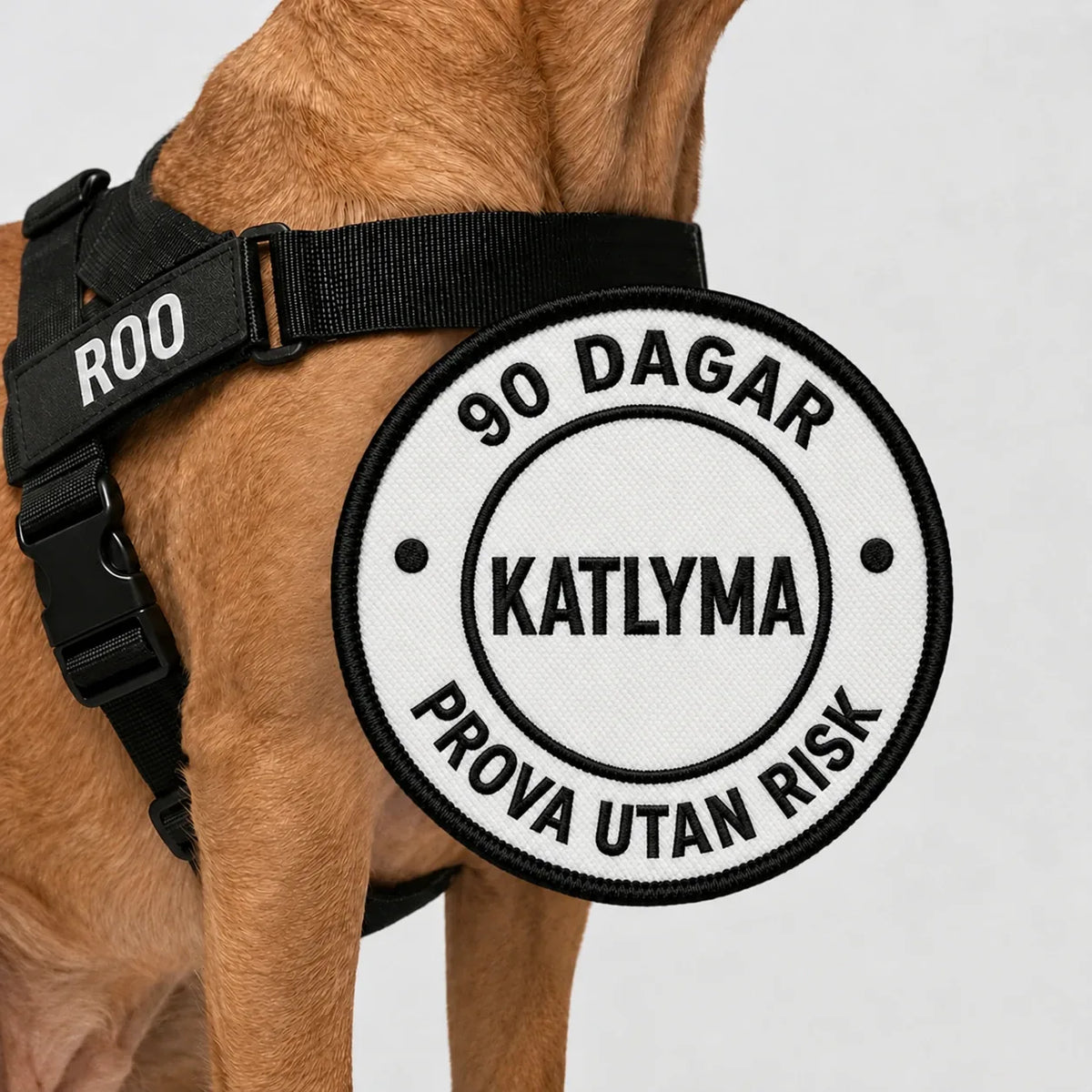 Hund som bär Katlymas svarta antidragsele, med 90 dagars riskfri provperiod