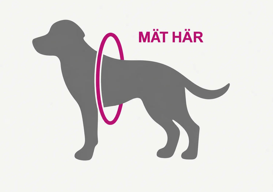 kat02-sv-guide-tailles-01_dog