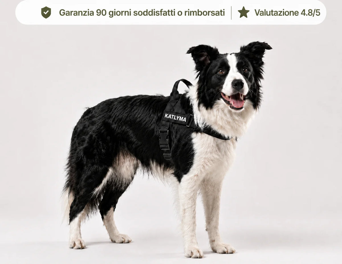 katlyma-home-banner-mobile