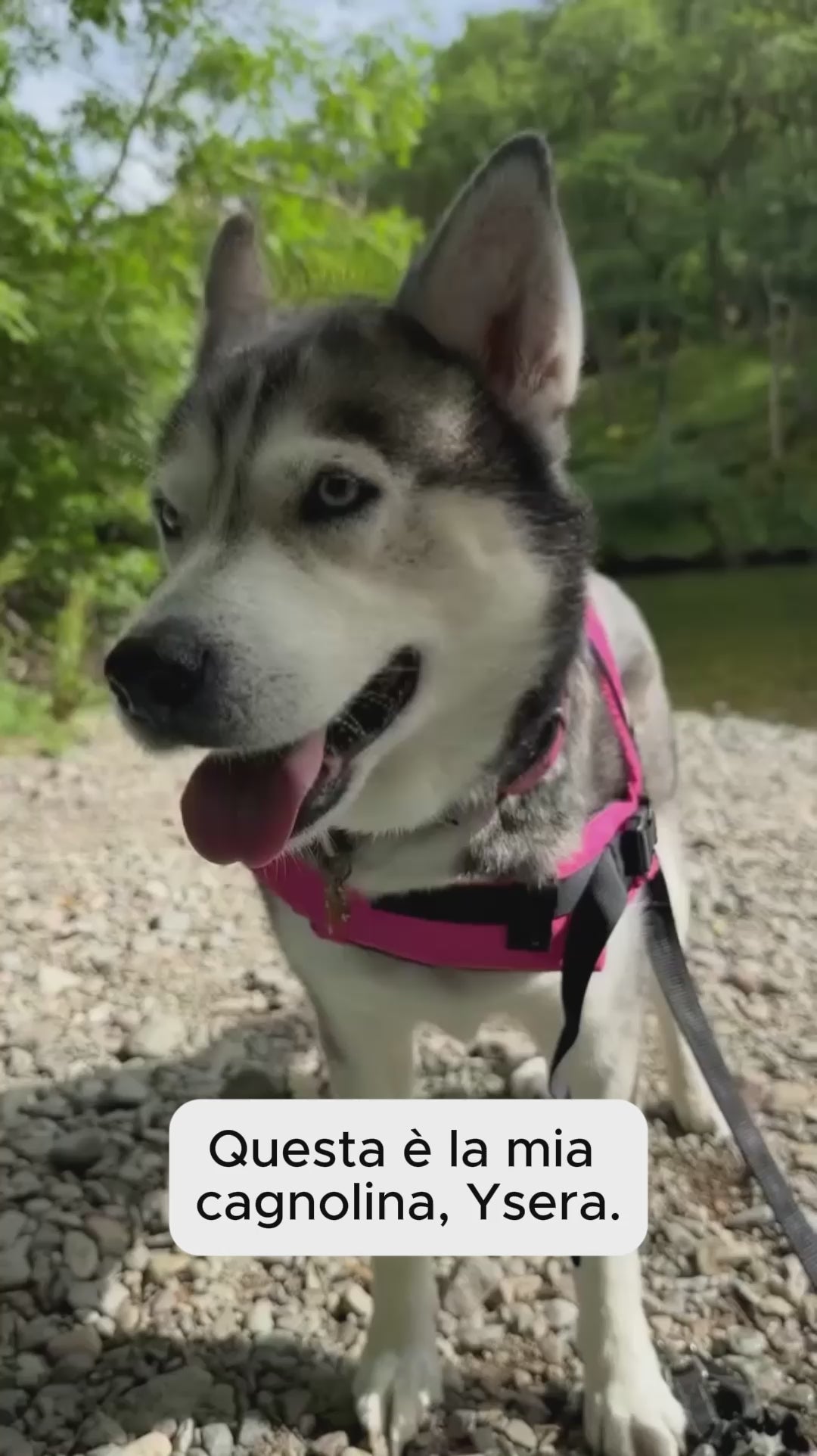 Katlyma Walk video 3