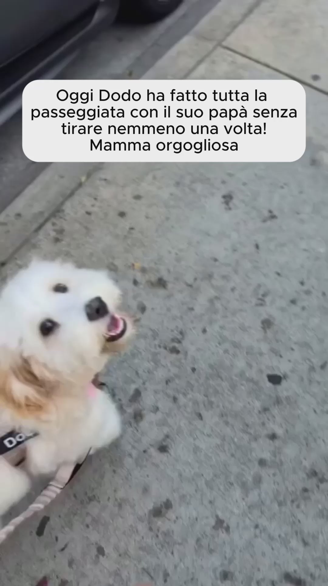 Katlyma Walk video 4