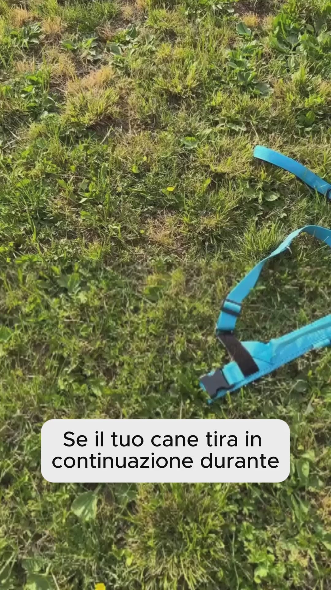 Katlyma Walk video 2